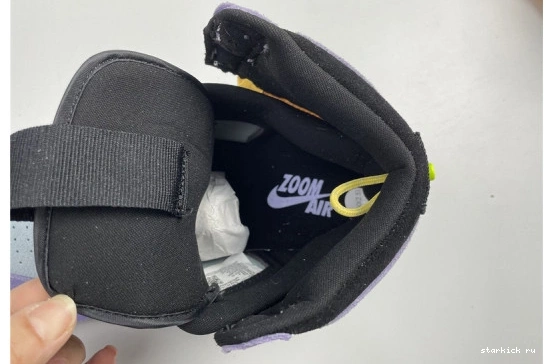 1 Air Jordan Pulse CW6576-500 Purple Switch High CW6576-500 1108